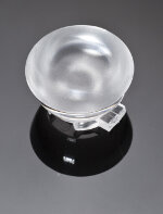 Part number C10449_TINA-W Product Type LED Optics from Manufacturer LEDiL 