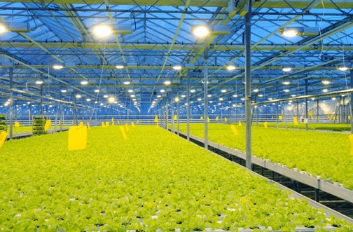 Agricultural